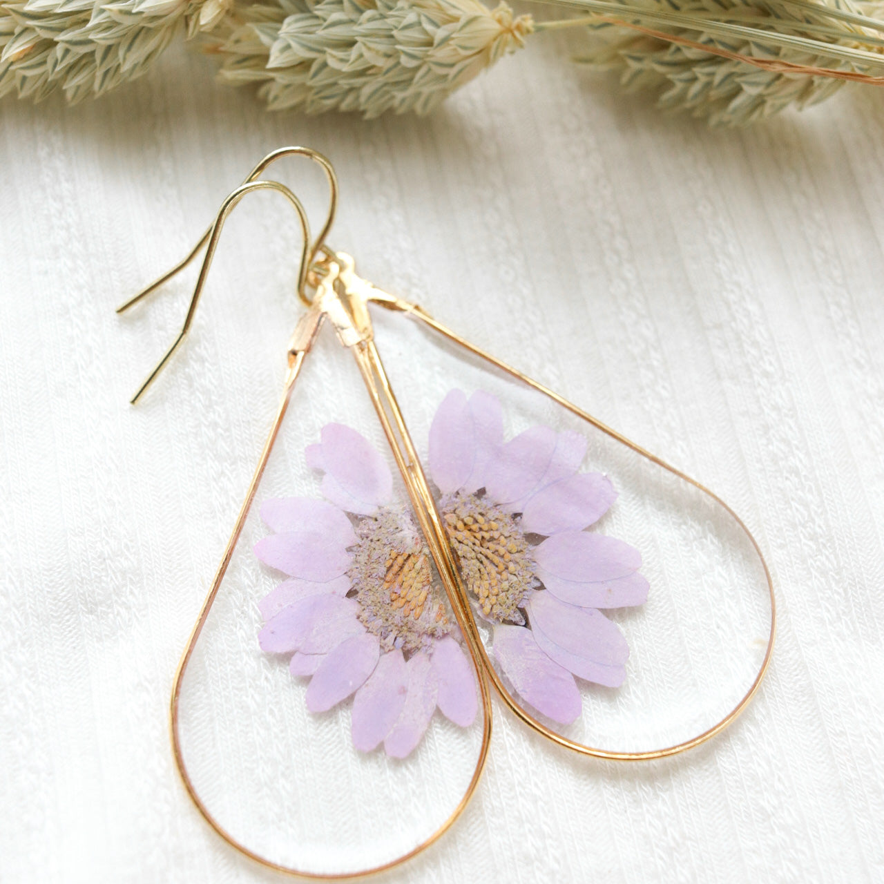 The Purple Split Daisy