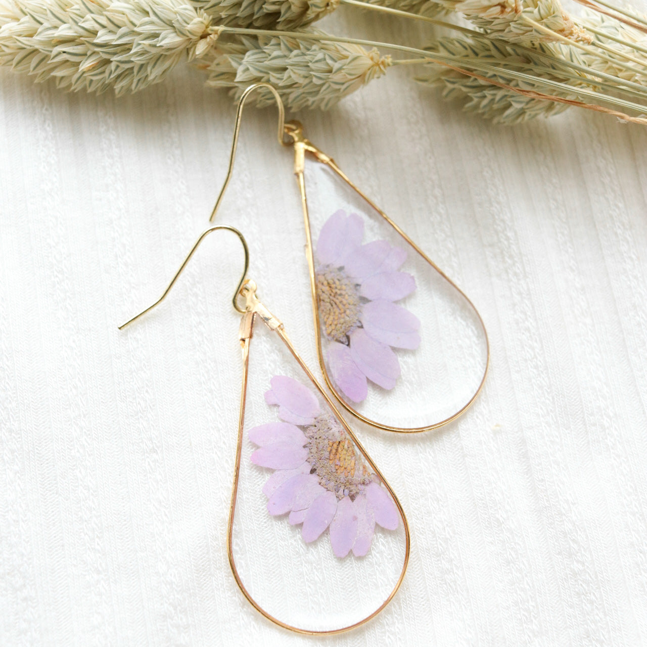 The Purple Split Daisy