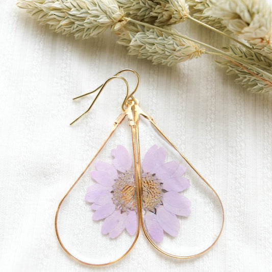 The Purple Split Daisy